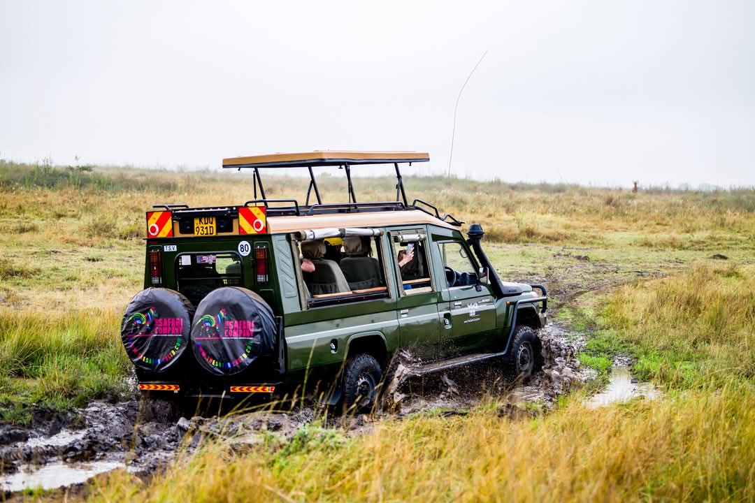 Safari Vans For Hire