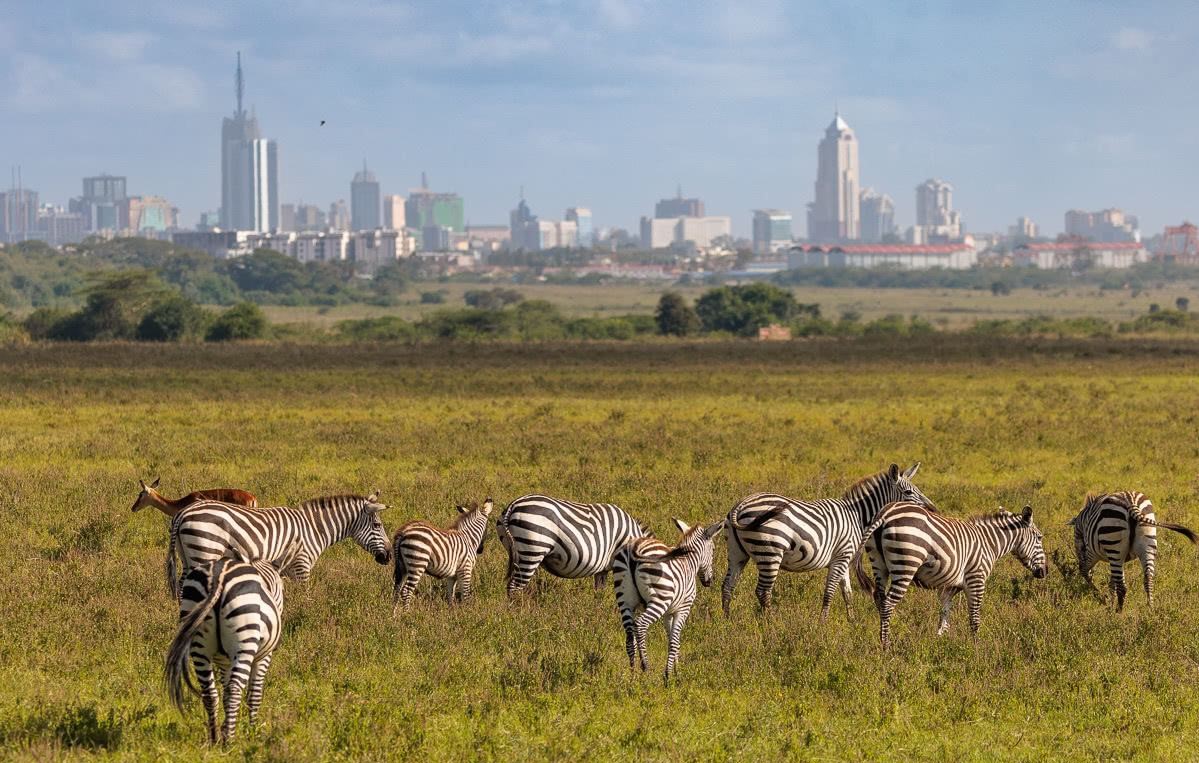 Nairobi City National Park